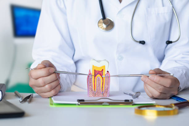 Best Weekend Emergency Dental Services in North Puyallup, WA